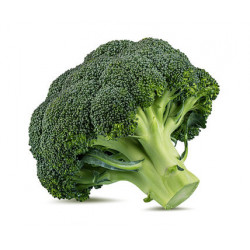 Organic Broccoli 250 Gms
