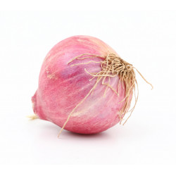 Organic Onion 1 Kg